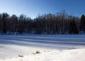 Tall forest trees on the banks of a frozen snow-covered river. Royalty Free Stock Photo