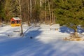 Tall forest trees on the banks of a frozen snow-covered river.Winter sunny landscape.Recreation area with benches in the forest ne Royalty Free Stock Photo