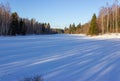 Tall forest trees on the banks of a frozen snow-covered river. Winter sunny landscape Royalty Free Stock Photo