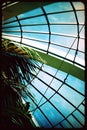 A tall glass atrium dome that shelters tropical plants.