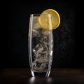 Citron Sparkling Water Royalty Free Stock Photo