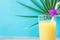Tall Glass with Freshly Pressed Pineapple Orange Coconut Juice Straw and Small Flower. Round Palm Tree Leaf on Blue Background Royalty Free Stock Photo