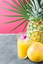 Tall Glass with Freshly Squeezed Pineapple Citrus Tropical Fruit Juice with Straw and Flower. Fuchsia Pink Background Palm Leaf Royalty Free Stock Photo