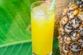 Tall Glass with Freshly Squeezed Tropical Fruit Juice with Straw Pineapple Coconut on Large Green Palm Leaf. Sunlight. Summer