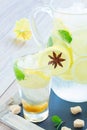 Tall glass of lemonad Royalty Free Stock Photo