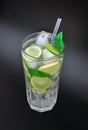 Tall glass of refreshing Mojito cocktail with ice, mint and lime on a black background Royalty Free Stock Photo