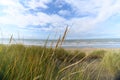 Tall grass with blue sky, beach and sea in the background Royalty Free Stock Photo
