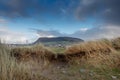Tall grass and Knocknarea hill in county Sligo.
