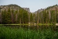 Tall Grass On the Edge of Nymph Lake In Rocky Royalty Free Stock Photo