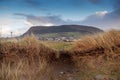 Tall grass and Knocknarea hill in county Sligo.