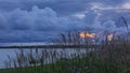 Tall grass at Michigan lake shore with stormy sky background Royalty Free Stock Photo