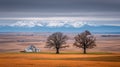 Tall grass surrounds a tree in the field, under a cloudy sky with the sun slowly setting Royalty Free Stock Photo