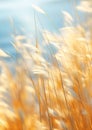 Whispers in the Wheat: A Dreamy Journey through Blurred Fields a