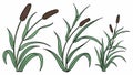 Tall Grasses or Cattails Illustration, Wetland Nature Element, vector design Generative AI Royalty Free Stock Photo