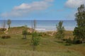 Tall grasses, trees and shrubs growing on hills of sand dunes, in front of Lake Michigan, at Kohler Dunes State Park Natural Area