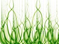 Tall Green Grass and Weeds Royalty Free Stock Photo