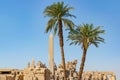 Tall green palm trees in front of Karnak temple on blue sky background in Luxor, Egypt Royalty Free Stock Photo