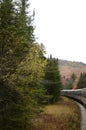 Train rounding curve through pines in Adirondacks Royalty Free Stock Photo