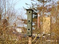 Tall Green Skyscraper Birdhouse with Three Floors Royalty Free Stock Photo