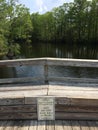 Dry Pond, Do not feed alligators, Wilmington, North Carolina, USA Royalty Free Stock Photo