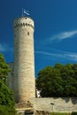 Tall Hermann, a historical tower in Tallinn, the capital of Estonia. Royalty Free Stock Photo