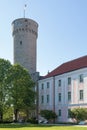 Tall Hermann of the Toompea Castle in Tallinn