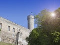 Tall Hermann tower .Tallinn, Estonia Royalty Free Stock Photo