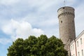Tall Hermann Tower in Tallinn Royalty Free Stock Photo