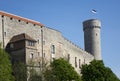 Tall Hermann - a tower of the Toompea Castle on Toompea hill. Tallinn, Estonia Royalty Free Stock Photo