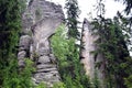 Tall high gray rocks and trees in national park