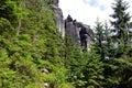 Tall high rocks in forest in national park illustration