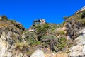 A tall hillside with lush green trees and plants at the beach with beachfront homes on top with blue sky