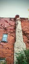 Tall ivy covered red brick wall with white chimney and wimdow