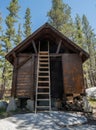 Tall Ladder Climbs To Roof Of Snow Patrol Cabin