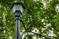 A tall lamp post on the road side with green trees on the background Royalty Free Stock Photo