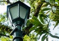 A tall lamp post on the road side with green trees on the background Royalty Free Stock Photo