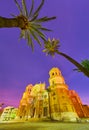 The palm trees above Cathedral, Cadiz, Spain Royalty Free Stock Photo