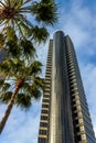 Tall modern building with palm trees Royalty Free Stock Photo