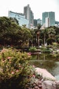 Office buildings hidden behind the greenery of the Hong Kong park Royalty Free Stock Photo