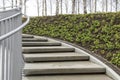 modern winding staircase with railings in a birch grove