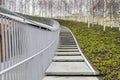 Tall modern winding staircase with railings in birch grove. GES-2