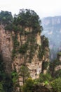 tall mountain peaks of yuanjiajie Royalty Free Stock Photo