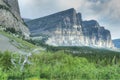 Tall mountains hover above a pine patch in Glacier National Park. Royalty Free Stock Photo