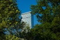 Tall office building towering over trees..