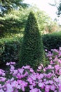 A tall ornately trimmed green bush with flower beds with small p