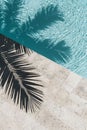 Palm Tree Shadows Over Pool Royalty Free Stock Photo