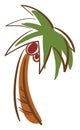 A tall palm tree, vector or color illustration