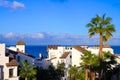 A tall palm tree and white houses with brown roofs against the ocean and blue sky. Gia de Isora, Tenerife, Spain