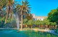 The palm trees in garden of Shiraz, Iran