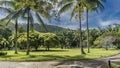 Tall palm trees and green bushes grow on the lawn in the tropical park. Royalty Free Stock Photo